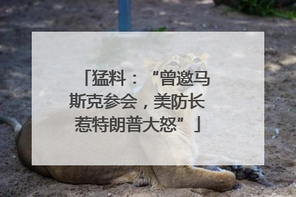 猛料：“曾邀马斯克参会，美防长惹特朗普大怒”