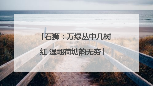 石狮：万绿丛中几树红 湿地荷塘韵无穷