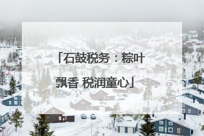 石鼓税务：粽叶飘香 税润童心