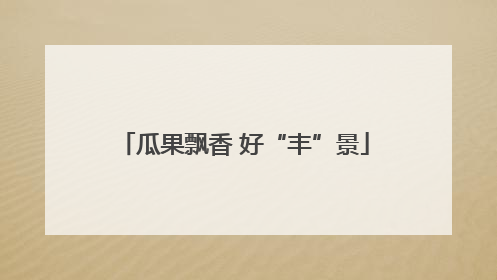瓜果飘香 好“丰”景