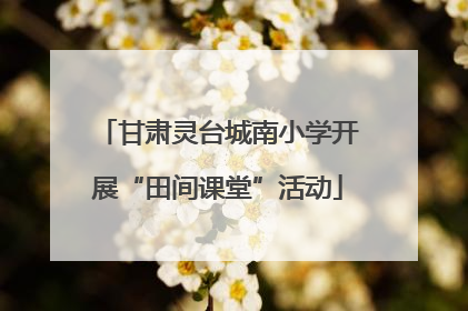 甘肃灵台城南小学开展“田间课堂”活动