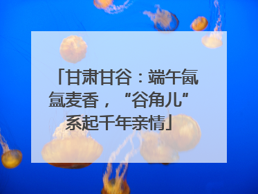 甘肃甘谷：端午氤氲麦香，“谷角儿”系起千年亲情