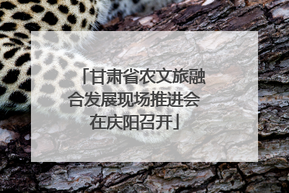 甘肃省农文旅融合发展现场推进会在庆阳召开