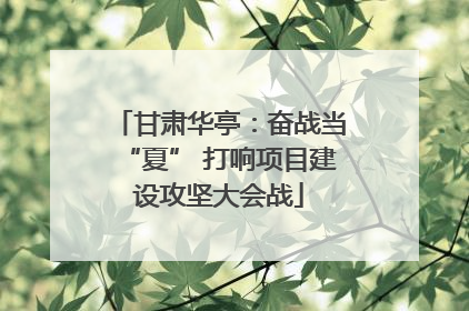甘肃华亭：奋战当“夏” 打响项目建设攻坚大会战