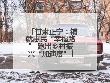 甘肃正宁：铺就惠民“幸福路” 跑出乡村振兴“加速度”