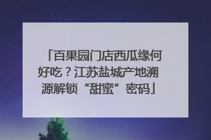 百果园门店西瓜缘何好吃？江苏盐城产地溯源解锁“甜蜜”密码