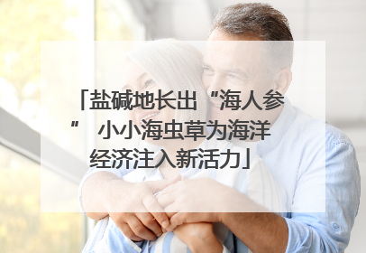 盐碱地长出“海人参” 小小海虫草为海洋经济注入新活力