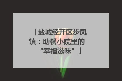 盐城经开区步凤镇：助餐小院里的“幸福滋味”