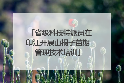 省级科技特派员在印江开展山桐子苗期管理技术培训