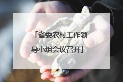 省委农村工作领导小组会议召开