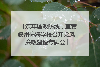 筑牢廉政防线，宜宾叙州樟海学校召开党风廉政建设专题会