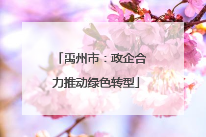 禹州市：政企合力推动绿色转型