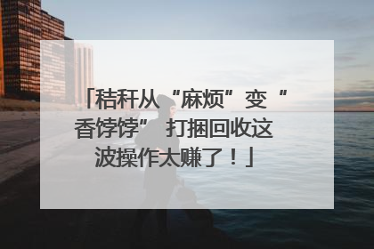 秸秆从“麻烦”变“香饽饽” 打捆回收这波操作太赚了！