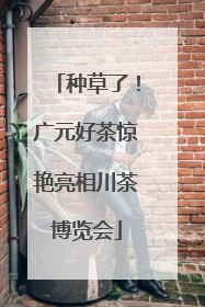 种草了！广元好茶惊艳亮相川茶博览会