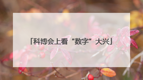 科博会上看“数字”大兴