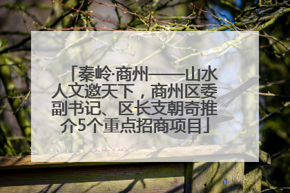 秦岭·商州——山水人文邀天下，商州区委副书记、区长支朝奇推介5个重点招商项目