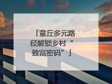 章丘多元路径解锁乡村“致富密码”