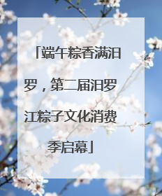 端午粽香满汨罗，第二届汨罗江粽子文化消费季启幕