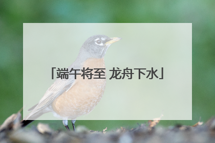 端午将至 龙舟下水