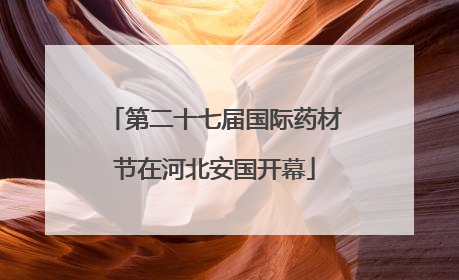 第二十七届国际药材节在河北安国开幕