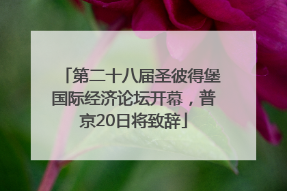 第二十八届圣彼得堡国际经济论坛开幕，普京20日将致辞