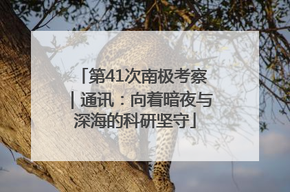 第41次南极考察｜通讯：向着暗夜与深海的科研坚守