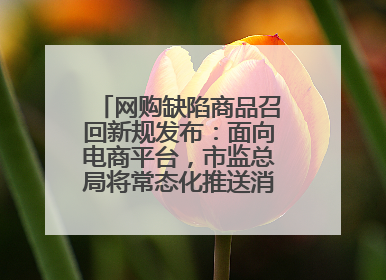 网购缺陷商品召回新规发布：面向电商平台，市监总局将常态化推送消费品召回信息