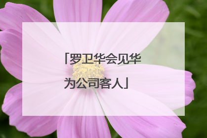 罗卫华会见华为公司客人