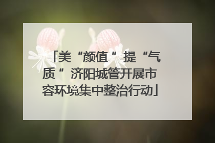 美“颜值 ”提“气质 ”济阳城管开展市容环境集中整治行动