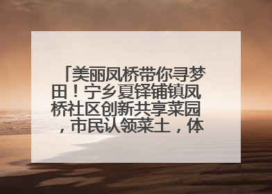 美丽凤桥带你寻梦田！宁乡夏铎铺镇凤桥社区创新共享菜园，市民认领菜土，体验耕种收获乐趣