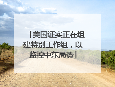 美国证实正在组建特别工作组，以监控中东局势