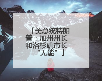 美总统特朗普：加州州长和洛杉矶市长“无能”