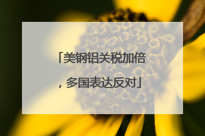 美钢铝关税加倍，多国表达反对
