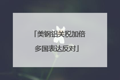 美钢铝关税加倍 多国表达反对