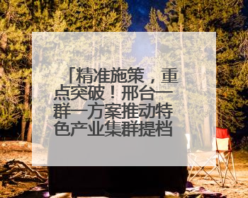 精准施策，重点突破！邢台一群一方案推动特色产业集群提档升级
