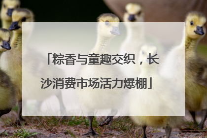 粽香与童趣交织，长沙消费市场活力爆棚