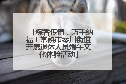 粽香传情，巧手纳福！常熟市琴川街道开展退休人员端午文化体验活动