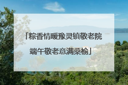 粽香情暖豫灵镇敬老院 端午敬老意满桑榆