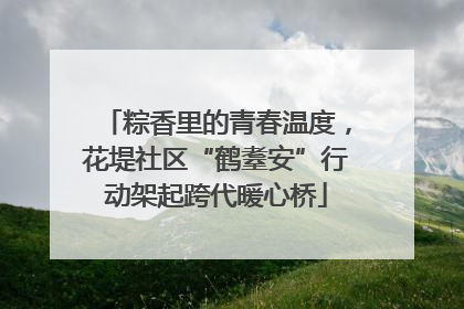 粽香里的青春温度，花堤社区“鹤耋安”行动架起跨代暖心桥