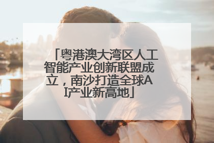 粤港澳大湾区人工智能产业创新联盟成立，南沙打造全球AI产业新高地