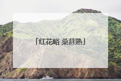 红花峪 桑葚熟