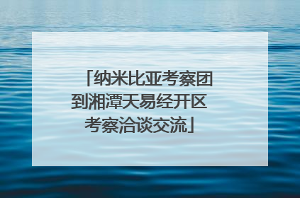 纳米比亚考察团到湘潭天易经开区考察洽谈交流