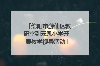 绵阳市游仙区教研室到云凤小学开展教学视导活动