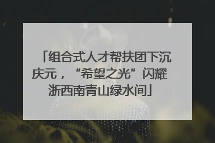 组合式人才帮扶团下沉庆元，“希望之光”闪耀浙西南青山绿水间