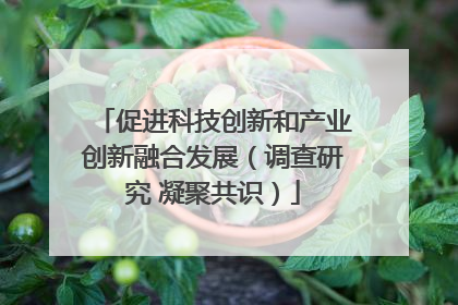 促进科技创新和产业创新融合发展（调查研究 凝聚共识）