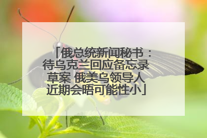 俄总统新闻秘书：待乌克兰回应备忘录草案 俄美乌领导人近期会晤可能性小