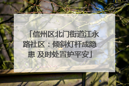信州区北门街道江永路社区：倾斜灯杆成隐患 及时处置护平安
