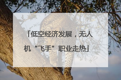 低空经济发展，无人机“飞手”职业走热