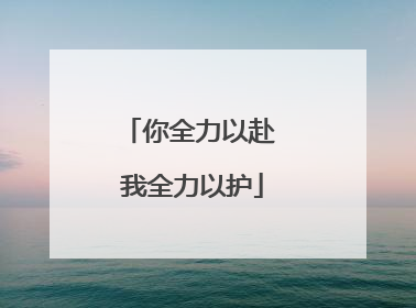 你全力以赴 我全力以护