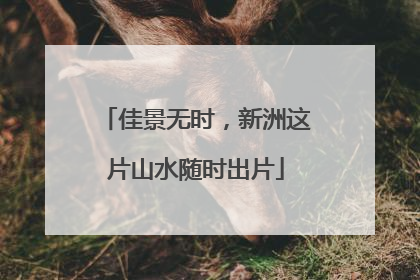 佳景无时，新洲这片山水随时出片